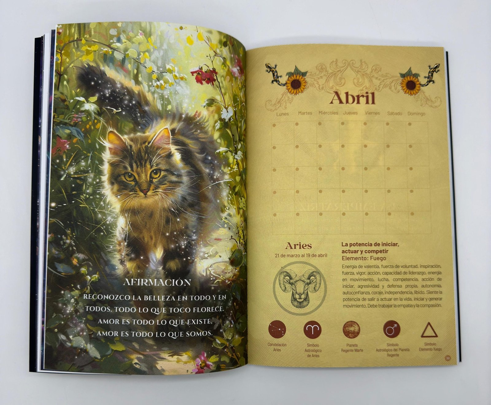 DIARIO-FELINO-ABIERTO-scaled