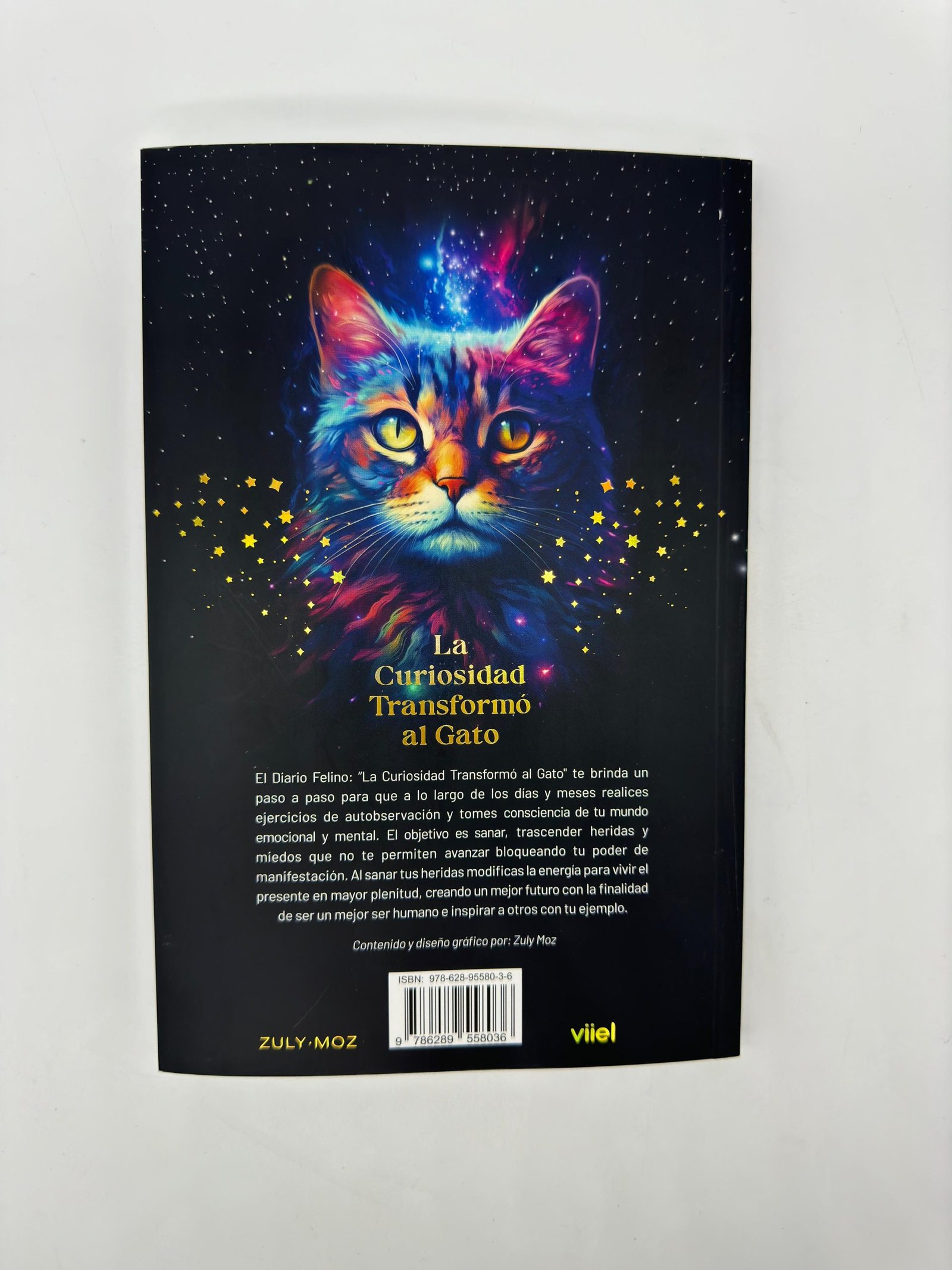 DIARIO-FELINO-CONTRACARATULA-scaled